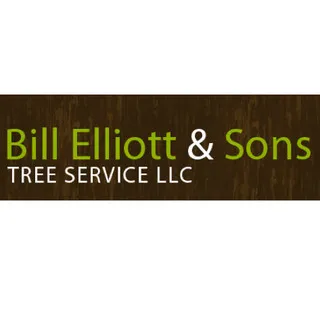 Bill Elliott & Sons Tree Service LLC - Tree & Shrub Care in Central Square, NY