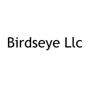 Birdseye Llc logo