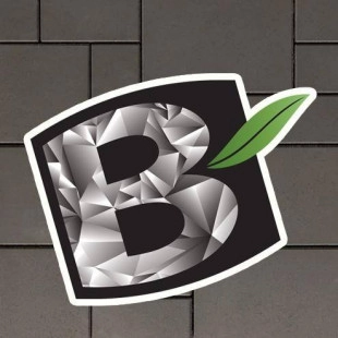 Black Brook Landscaping logo
