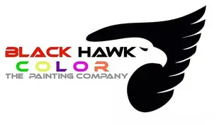 Black hawk color logo