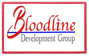 Bloodline Development Group logo
