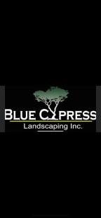 Blue Cypress Landscaping Inc logo