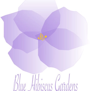 Blue Hibiscus Gardens logo