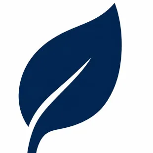 Blue Leaf Painting LLC logo