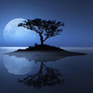 Blue Moon Design logo