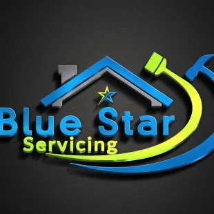 Blue Star Servicing, LLC logo