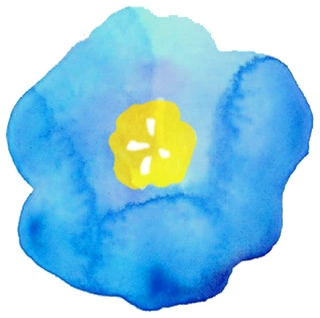 BlueFlax Design LLC logo