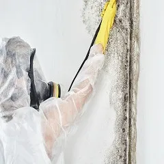 Bluegrass Mold Inspections logo