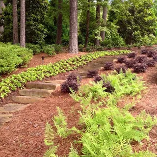 Bolin Landscape Services logo