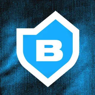 BOLT Construction & Roofing logo