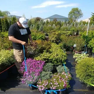 Bradley's Professional Lawn & Landscape logo