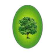 Briggs Landscape Construction Inc. logo