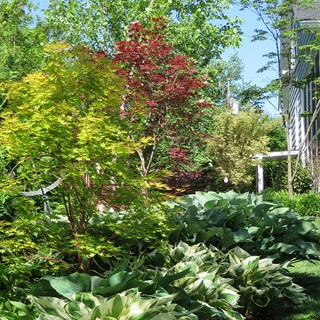 BrightShade Gardens, LLC. logo