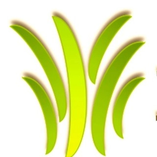 Brio Landscaping logo