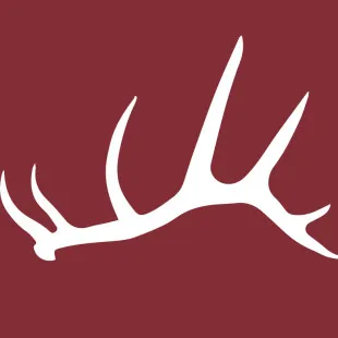 Brow Tine Builders & Construction logo