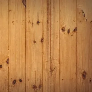 Brown Exterminating CO. logo