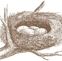 Burrow & Nest - Design-Build Services in Harrisville, RI