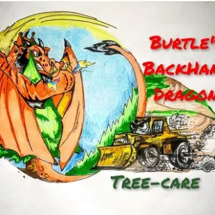 Burtle's Backhand Dragon logo