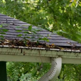 C-Town Gutter Solutions - Professional Home Organizers in Wilson, NC
