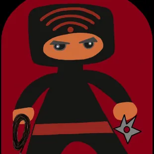 Cable Ninjas - Carpentry & Woodworking in Urbandale, IA