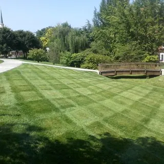 Cameron landscaping & bed design logo