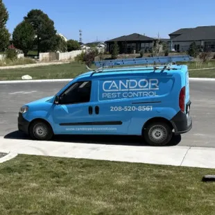 Candor Pest Control logo