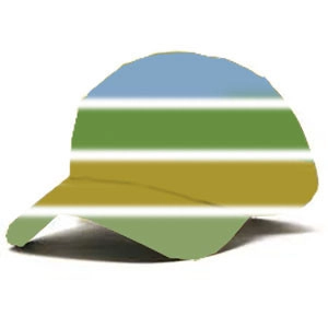 Capital Area Planning Services, LLC logo