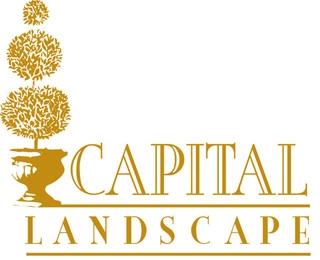 Capital Landscape logo