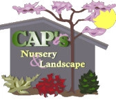 CAPS Nursery and Landscape logo