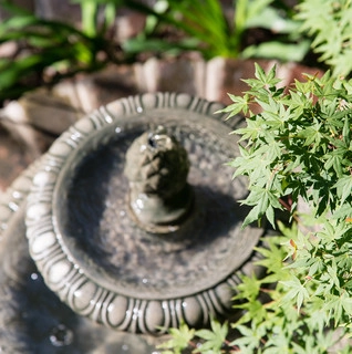 Carolina Landscape, Inc. logo