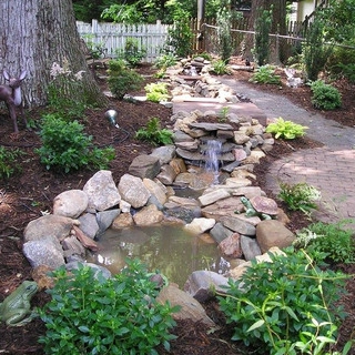 Carolina Sunshine Landscaping logo