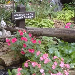 Carter's Nursery, Pond & Patio logo