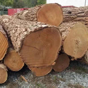 Caruso Forest Products logo