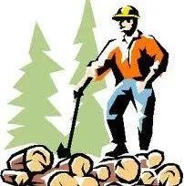 Cedar Log & Lumber logo