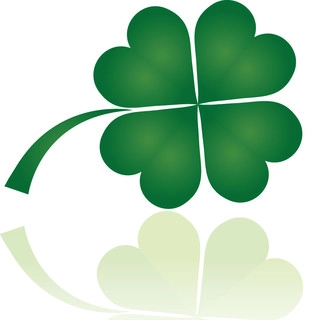Celtic Landscaping logo