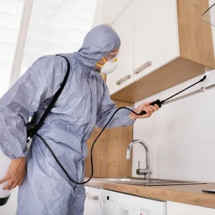 Cement Capital Termite Removal Experts logo