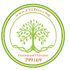 Central Valley Landscape & Tree logo