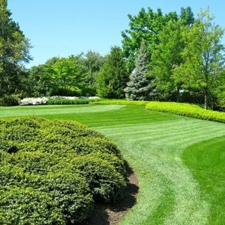 Cerami Lawns logo