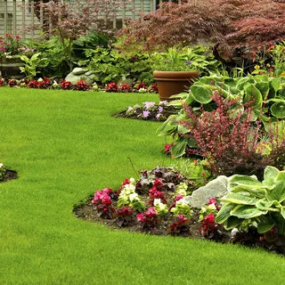 CG Lawn Service logo