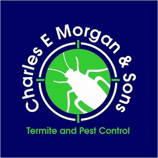 Charles E Morgan & Sons Inc logo