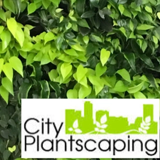 City Plantscaping, LLC logo