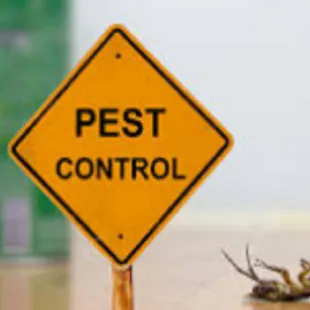 City Termite & Pest Control logo