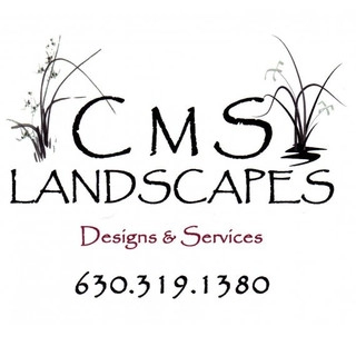 CMS Landscapes logo