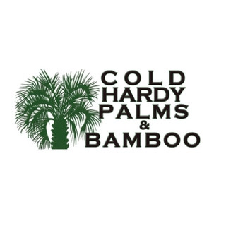 Cold Hardy Palms and Bamboo logo