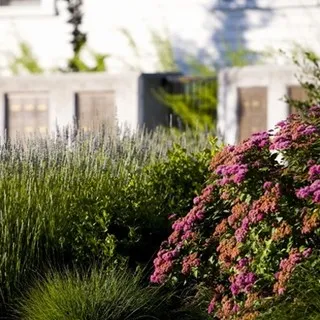 Covey Pardee Landscape Architects logo