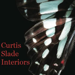 Csi Interiors LLC logo
