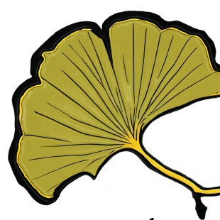 D & J Landscape Contractors logo