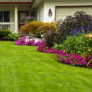 D & R Lawn Care logo