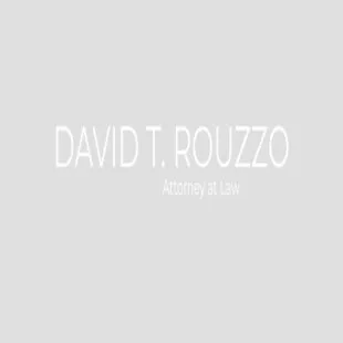 Davidrouzzo logo