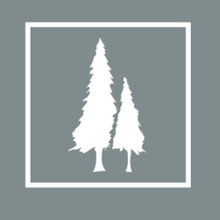 Decorative Landscaping logo